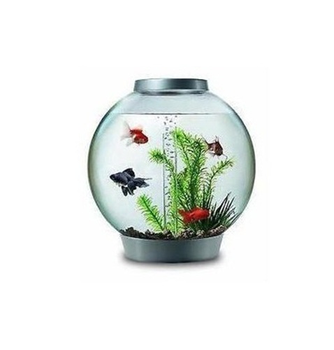 Small Fish Aquarium