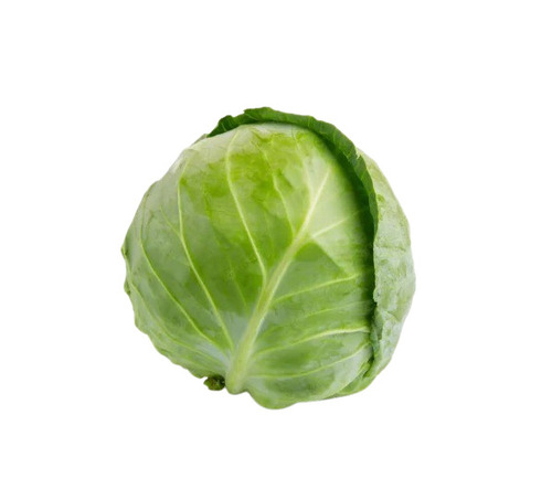 Cabbage