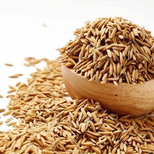 Fresh Paddy Seeds