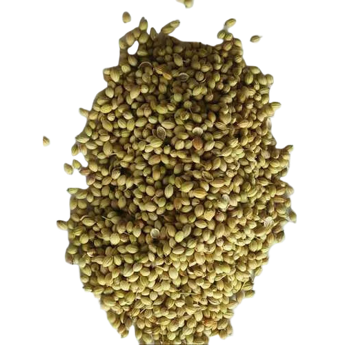 Organic Coriander Seed