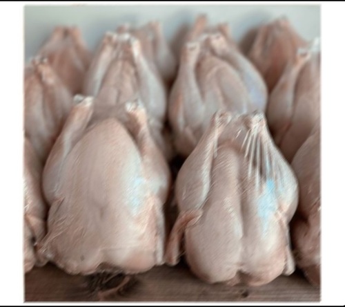 Frozen Whole Chicken Supplier - Color: Pink