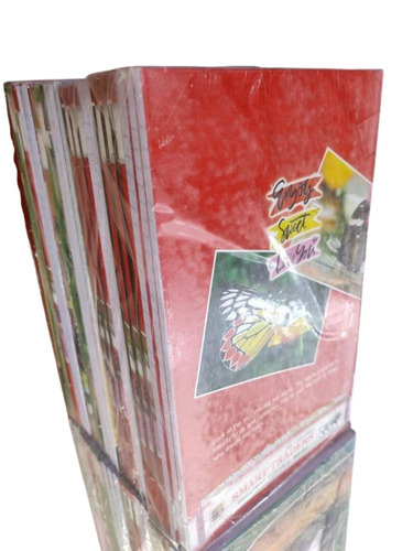 School Notebooks