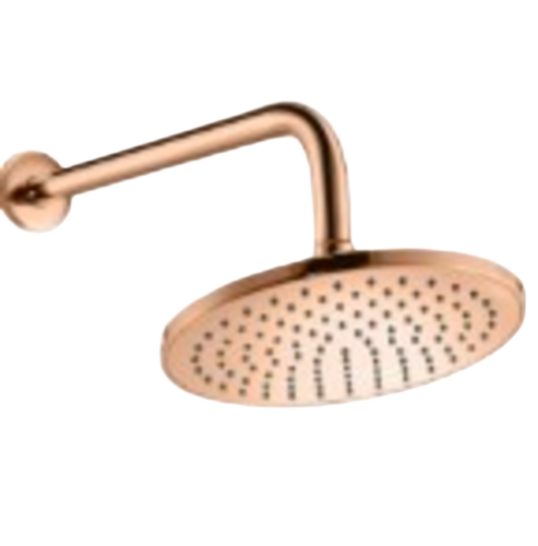 Single Flow Round Shower 200mm with arm 450mm