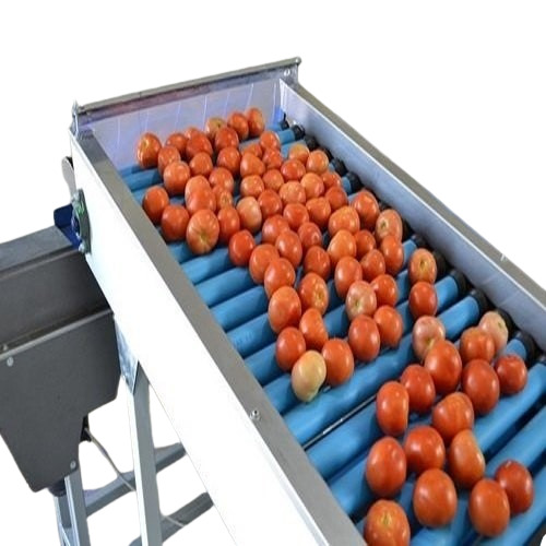 Tomato Griding Machine