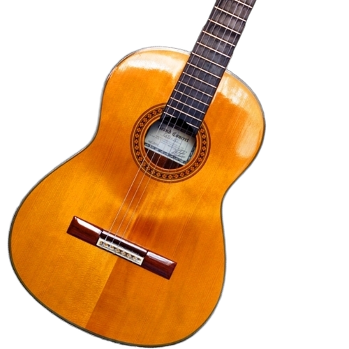 Bass Guitar