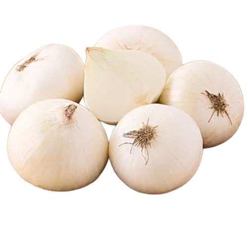 Crisp Texture White Onion