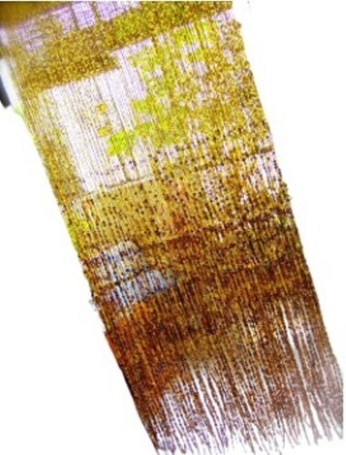 Door Bead Curtains