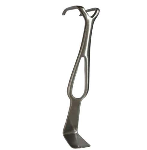 Ss Retractor Czerny - Color: Silver