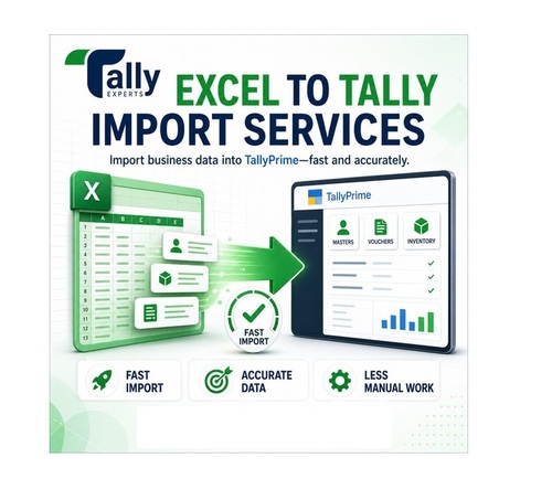 Excel to Tally Import Services