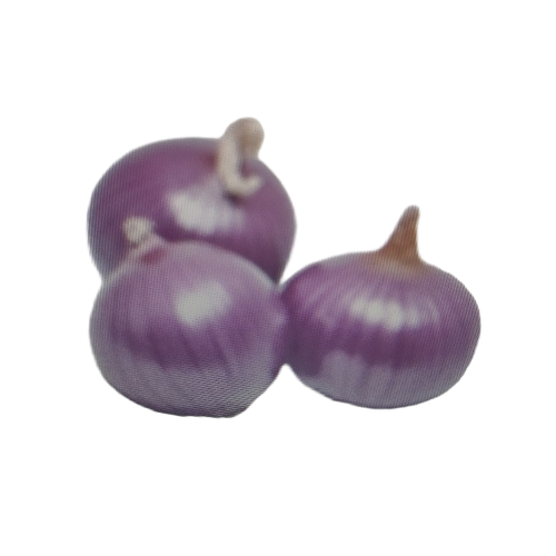 Red Onion - Cultivation Type: Common