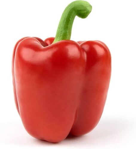Red Capsicum By Shri Ranjini Exports & Imports