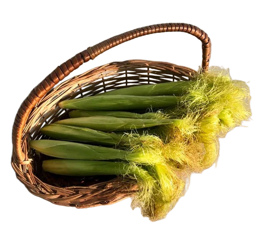 Baby Corn With Husk