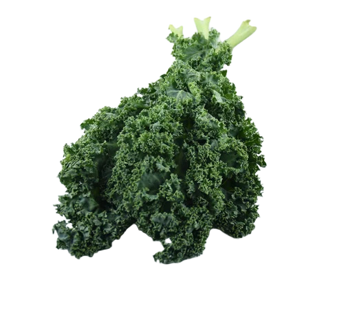 Curly Kale Leaves
