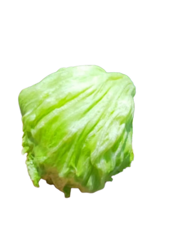 Lettuce Iceberg Vegetable