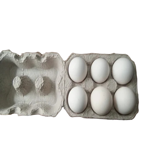 Paper Pulp Egg Box