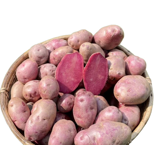 Purple Mulberry Beauty Potato