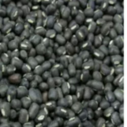 Organic Black Gram Dried