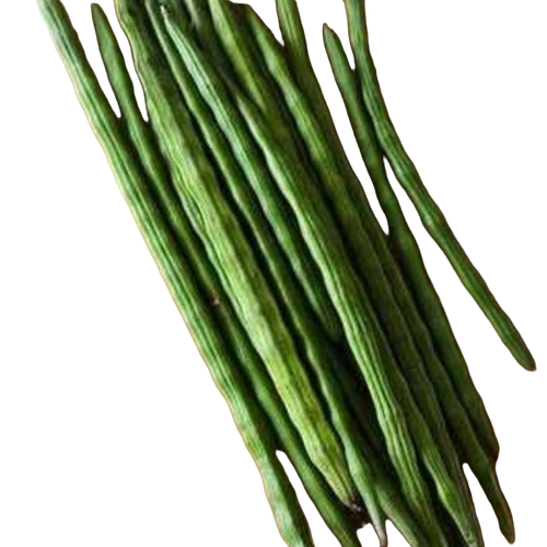 Organic Green Drumstick Vegetables