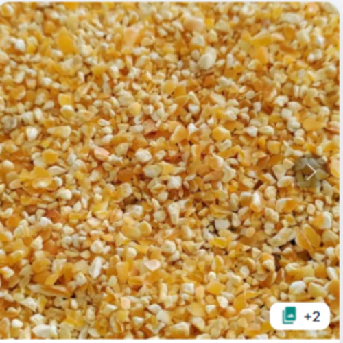 Premium Maize Based Cattle Feed