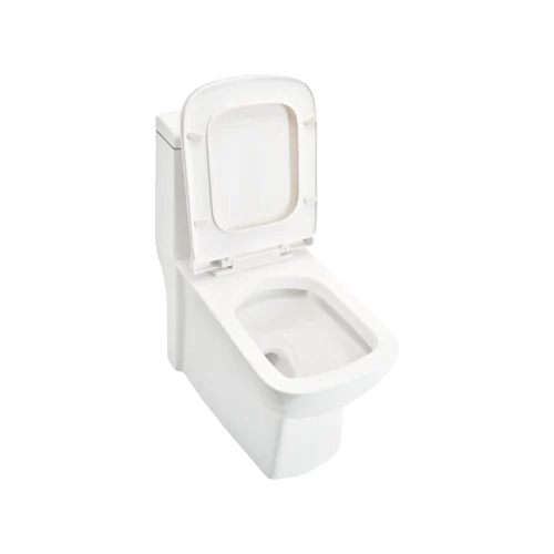 Stylish Toilet Seats