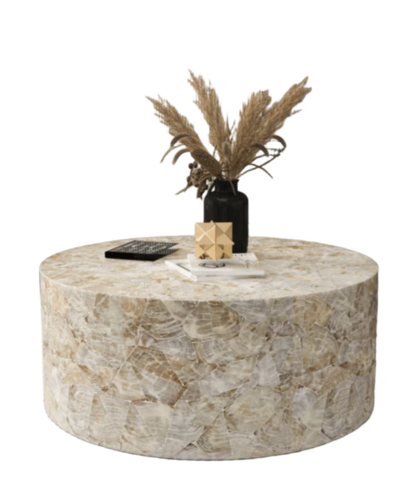 Handcrafted Mother of Pearl Coffee Table