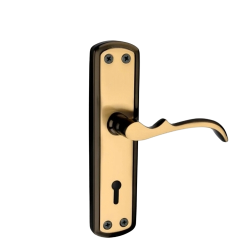 Stylish Door Lock