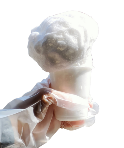 Phenyl Silicone Oil Emulsion Iota Pemul 255 - Physical Form: Liquid
