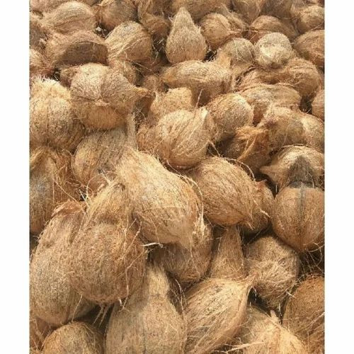 Husked Coconut