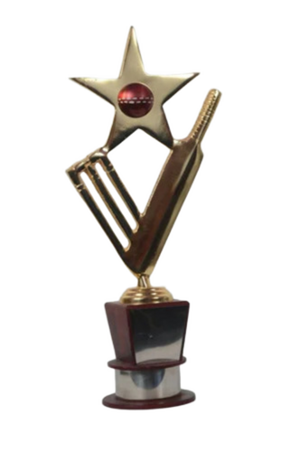 Brown Star Shape Trophy