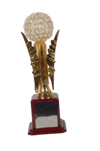 Printed Trophy For School