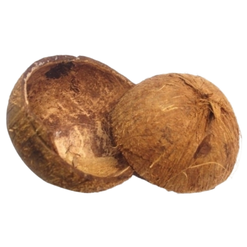 Brown Natural Dry Coconut Shell