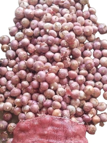 Red Onion By Patil & Son's Trading Company