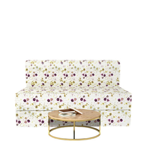 Premium Sofa Cum Bed - Application: Living Room
