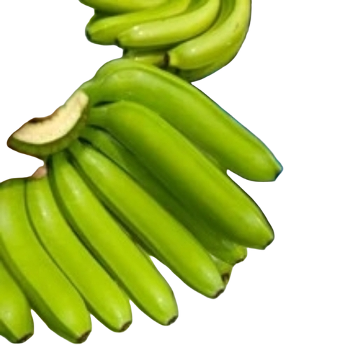 Cavendish Banana