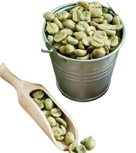 Organic Green Coffee Beans - Grade: A