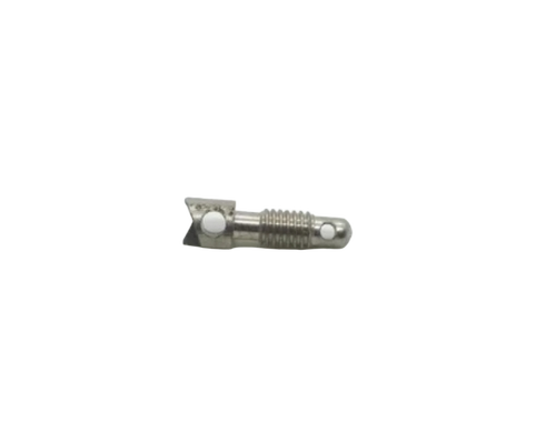 Polished Brass Sealing Screw - Color: Silver