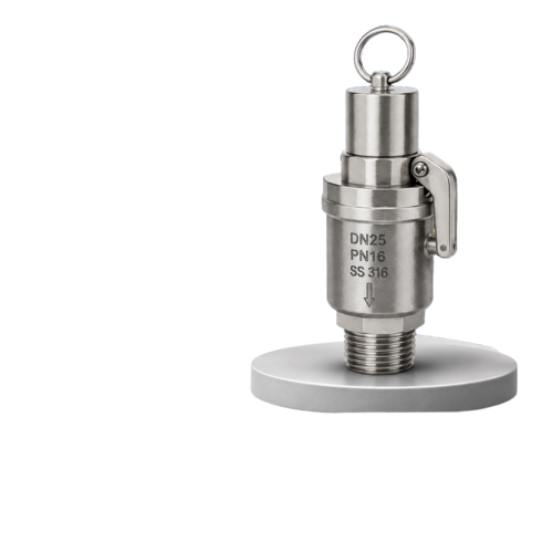 Ring Type Safety Valve - Application: Pharma