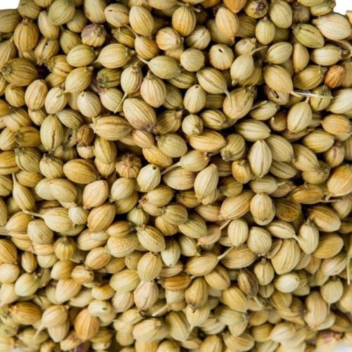 स्कूटर धनिया के बीज