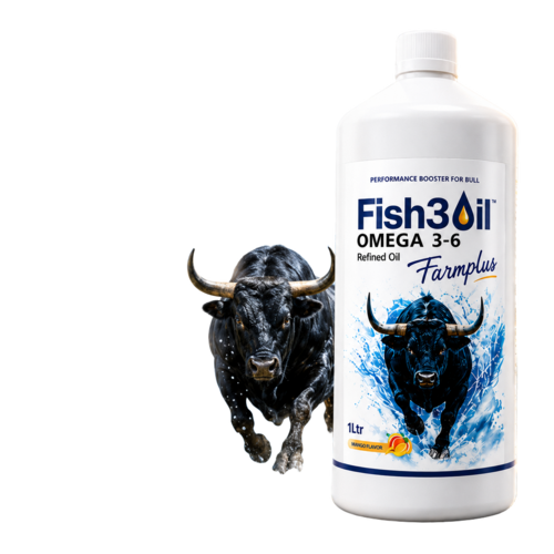 Geneasisomega Mango Flavour Ultra Refined Omega 36 Oil For Bulls 1 Ltr