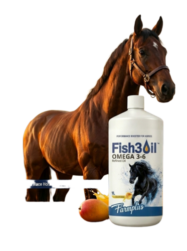 Genesisomega Mango Flavour Ultra Refined Omega 36 Oil For Horse 1 Ltr