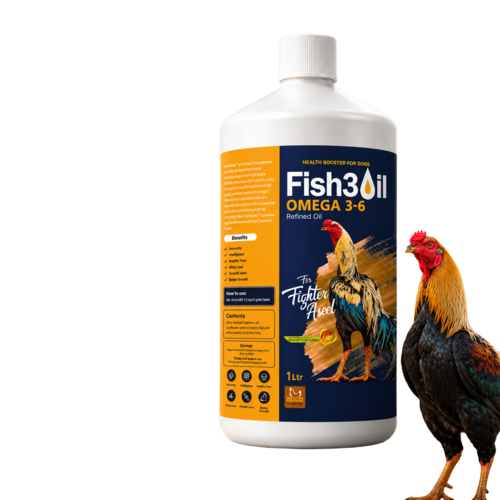 Genesisomega Ultra Refined Mango Flavour Omega 36 Oil For Fighter Aseel 5Ltr