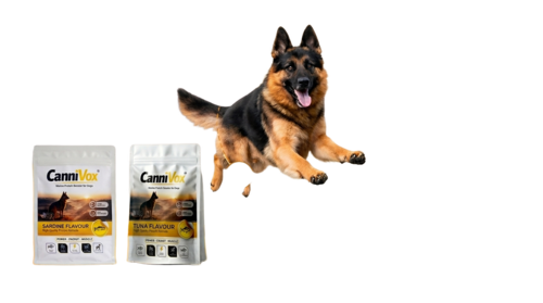 Genesisomega Cannivox Protein Booster For Dogs 250 Grams