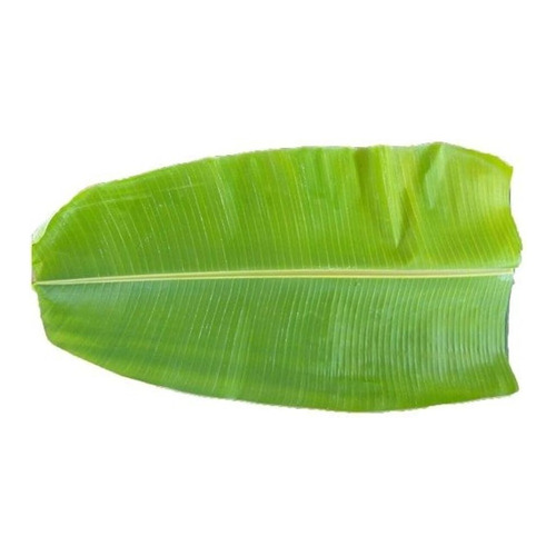 Banana Leaf