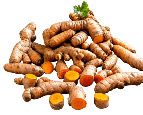 GENESISOMEGA Turmeric Extract