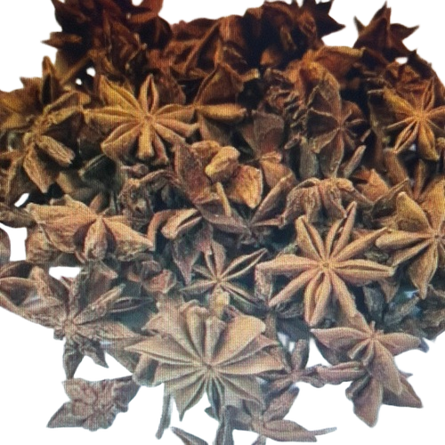 Indian Brown Star Anise