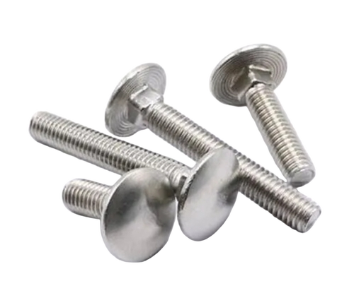 Stainless Steel Carriage Bolts - Color: Silver