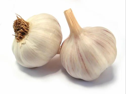White Garlic