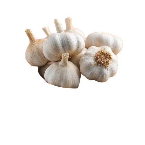 Firm Texture White Garlic