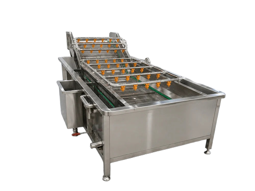 1500kg/Hr Vegetable Processing Plant