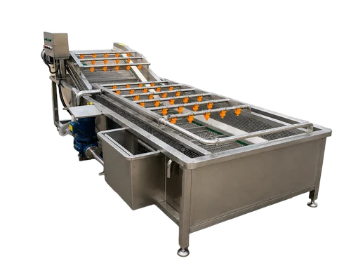 500kg/hr Vegetable Processing Plant